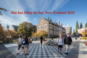 Săn học bổng du học New Zealand 2024