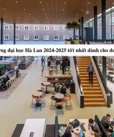 Các trường đại học Hà Lan 2024-2025 tốt nhất