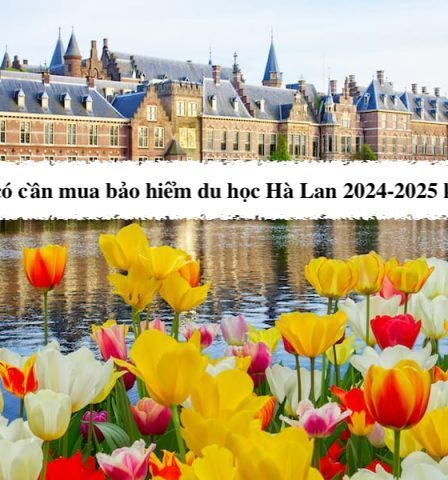 HSSV có cần mua bảo hiểm du học Hà Lan 2024-2025 không?